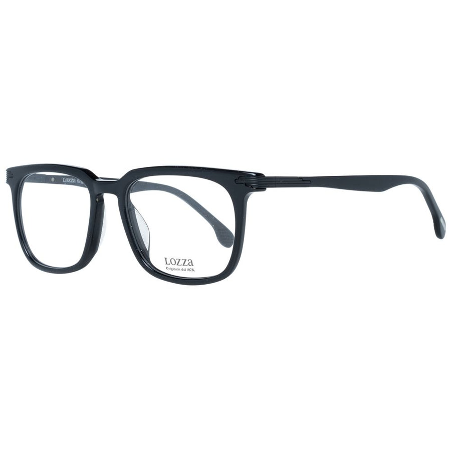 Black Plastic Glasses (Frames)