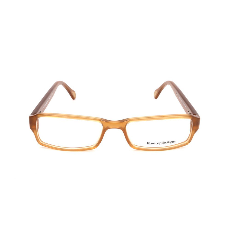 Brown Plastic Glasses (Frames)
