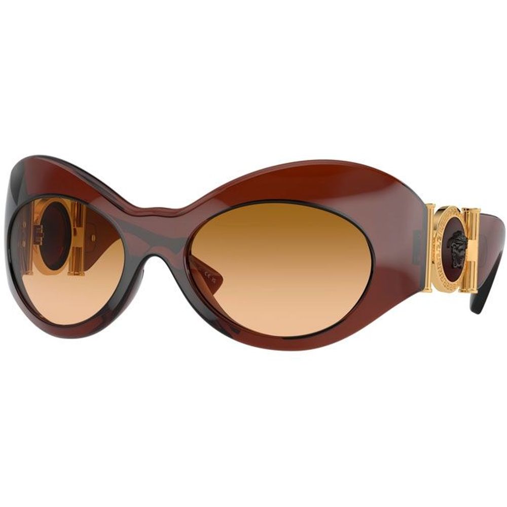 Brown Acetate Sunglasses