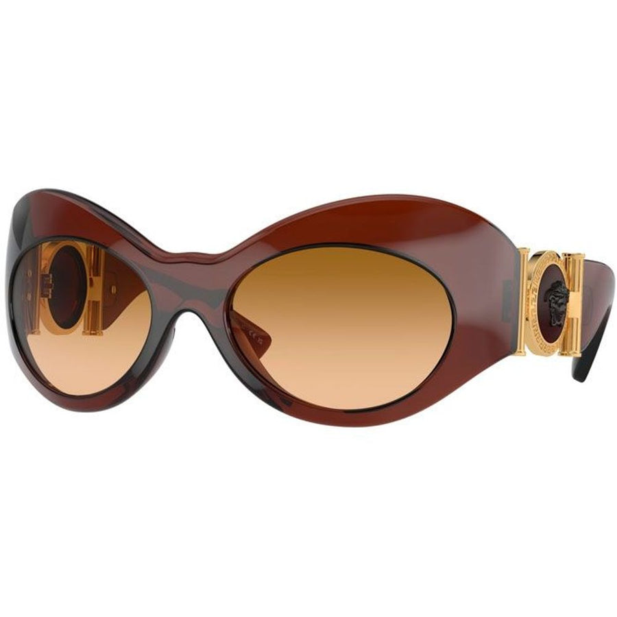 Brown Acetate Sunglasses