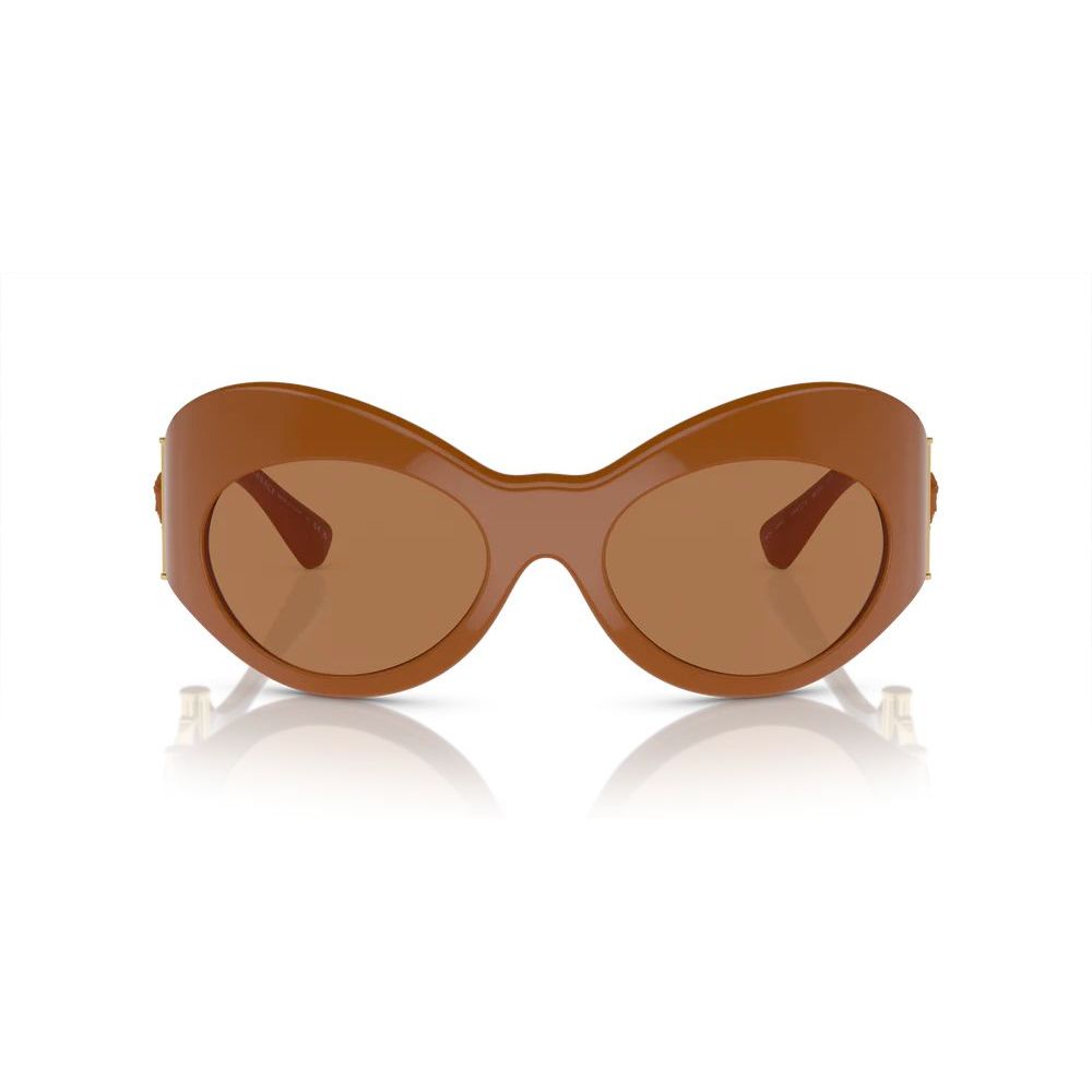 Brown Acetate Sunglasses
