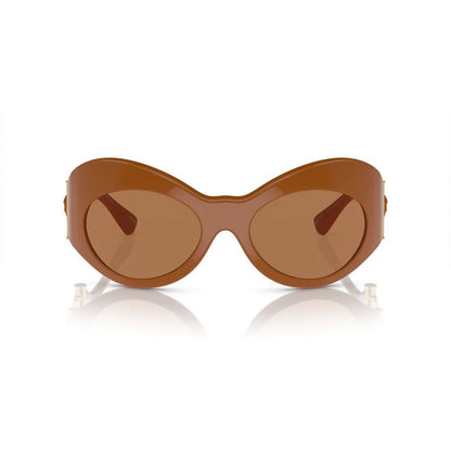 Brown Acetate Sunglasses