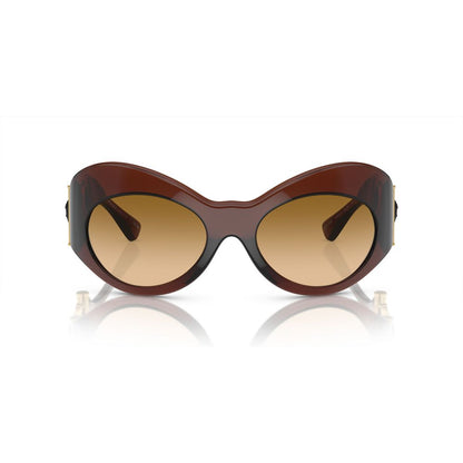 Brown Acetate Sunglasses