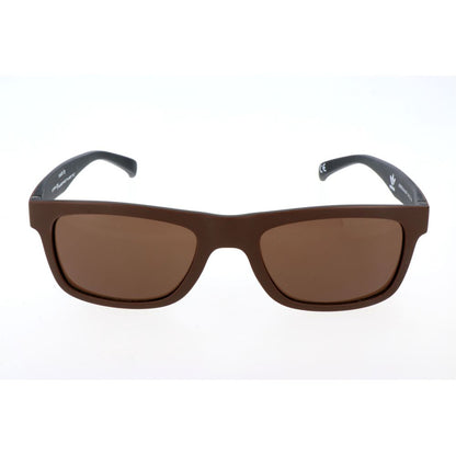 Brown Acetate Sunglasses