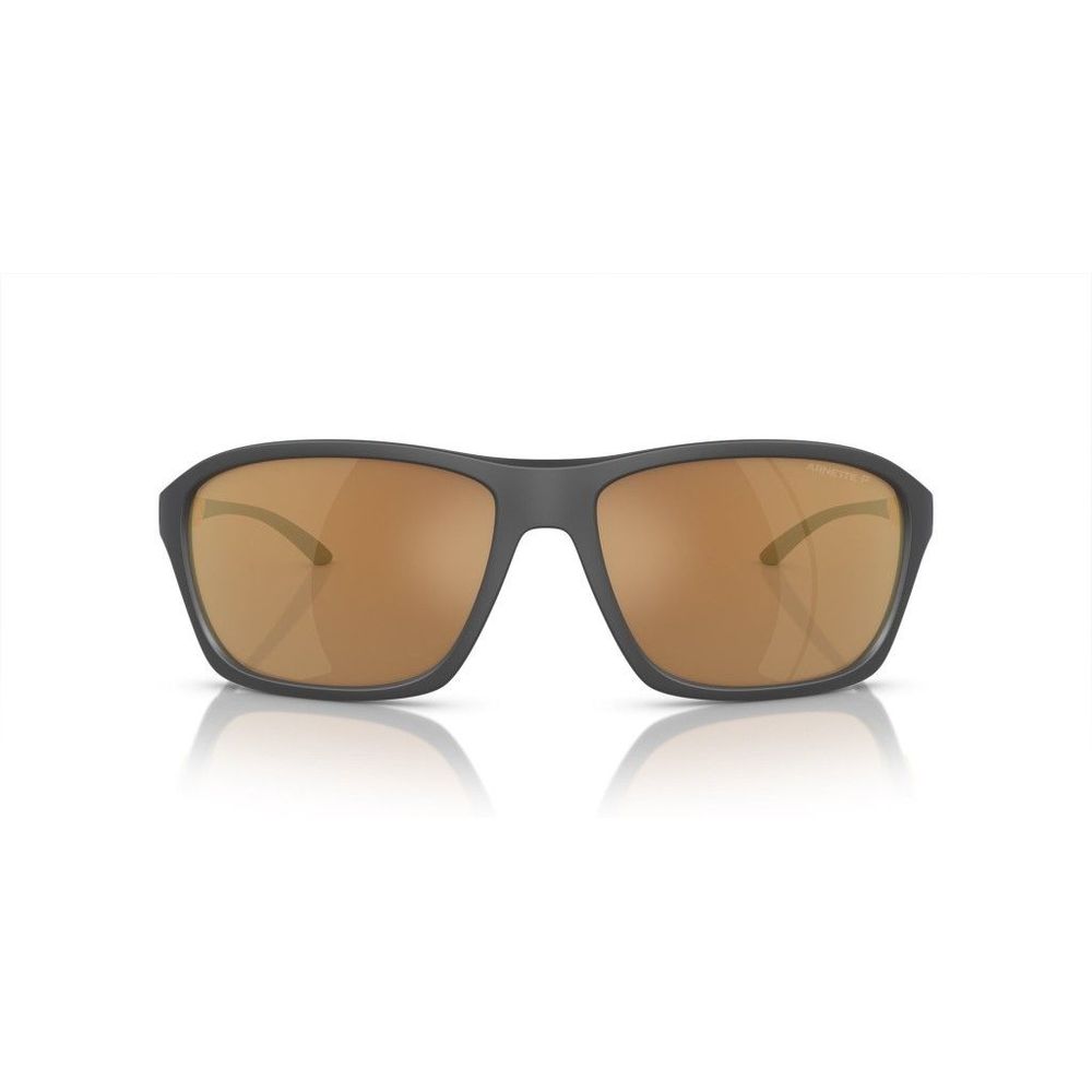 Brown Resin Sunglasses