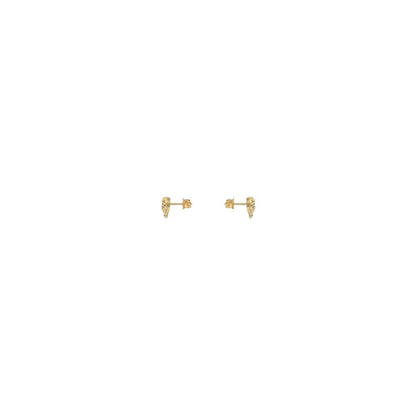 Gold Metal Earrings