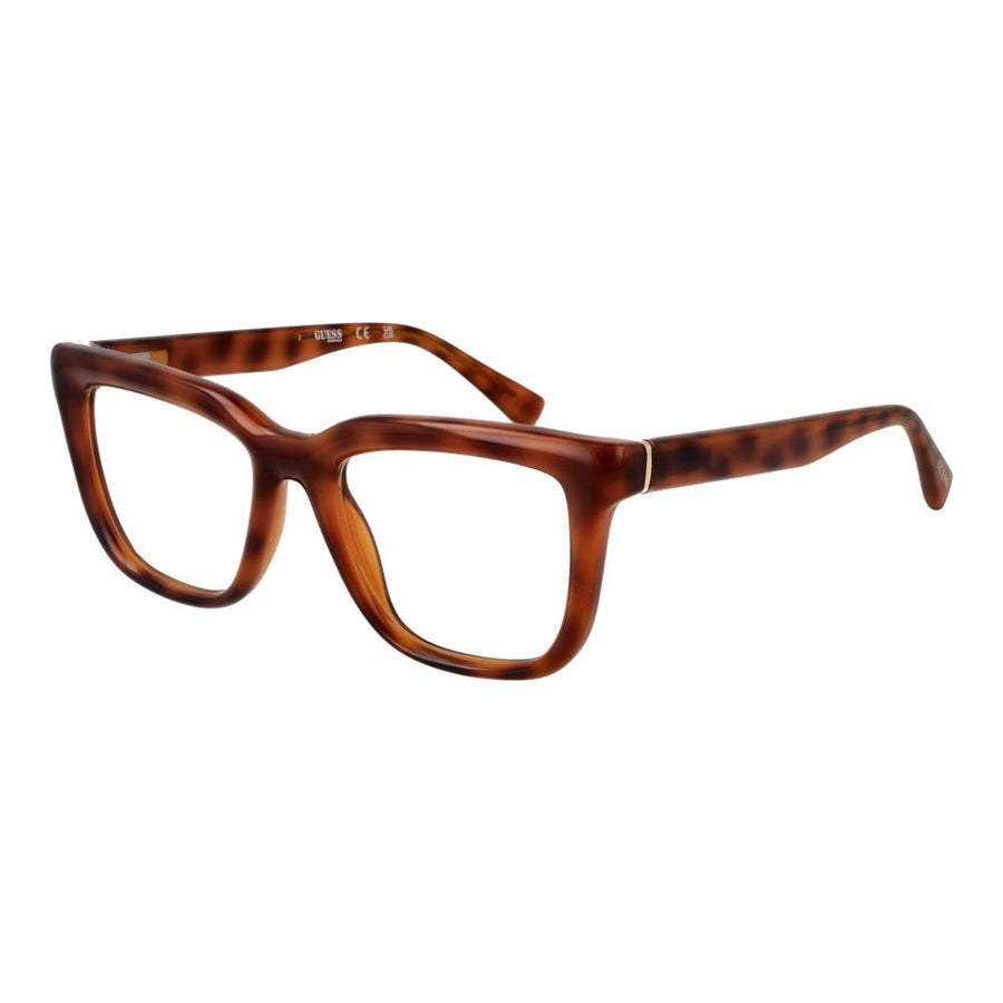 Brown Plastic Glasses (Frames)