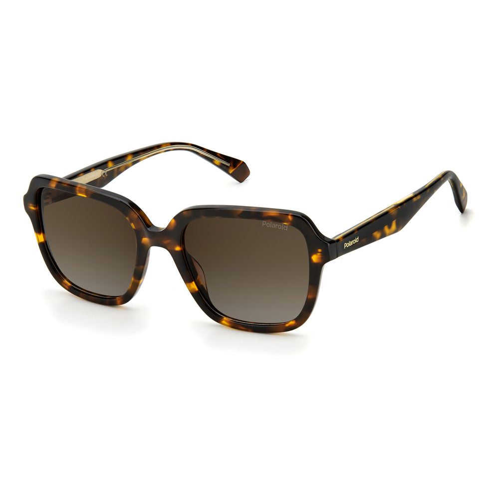 Brown Acetate Sunglasses
