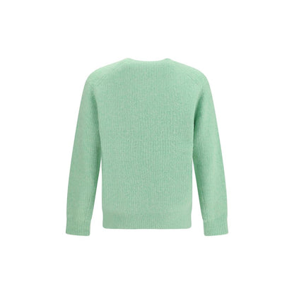 Green Alpaca Vicugna Pacos Sweatshirt