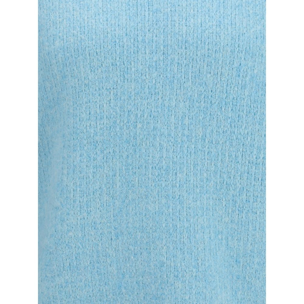 Light Blue Alpaca Vicugna Pacos Sweatshirt