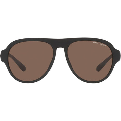 Brown Acetate Sunglasses