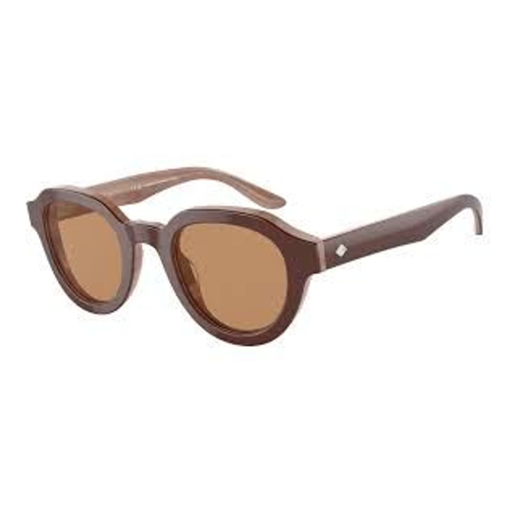 Brown Acetate Sunglasses
